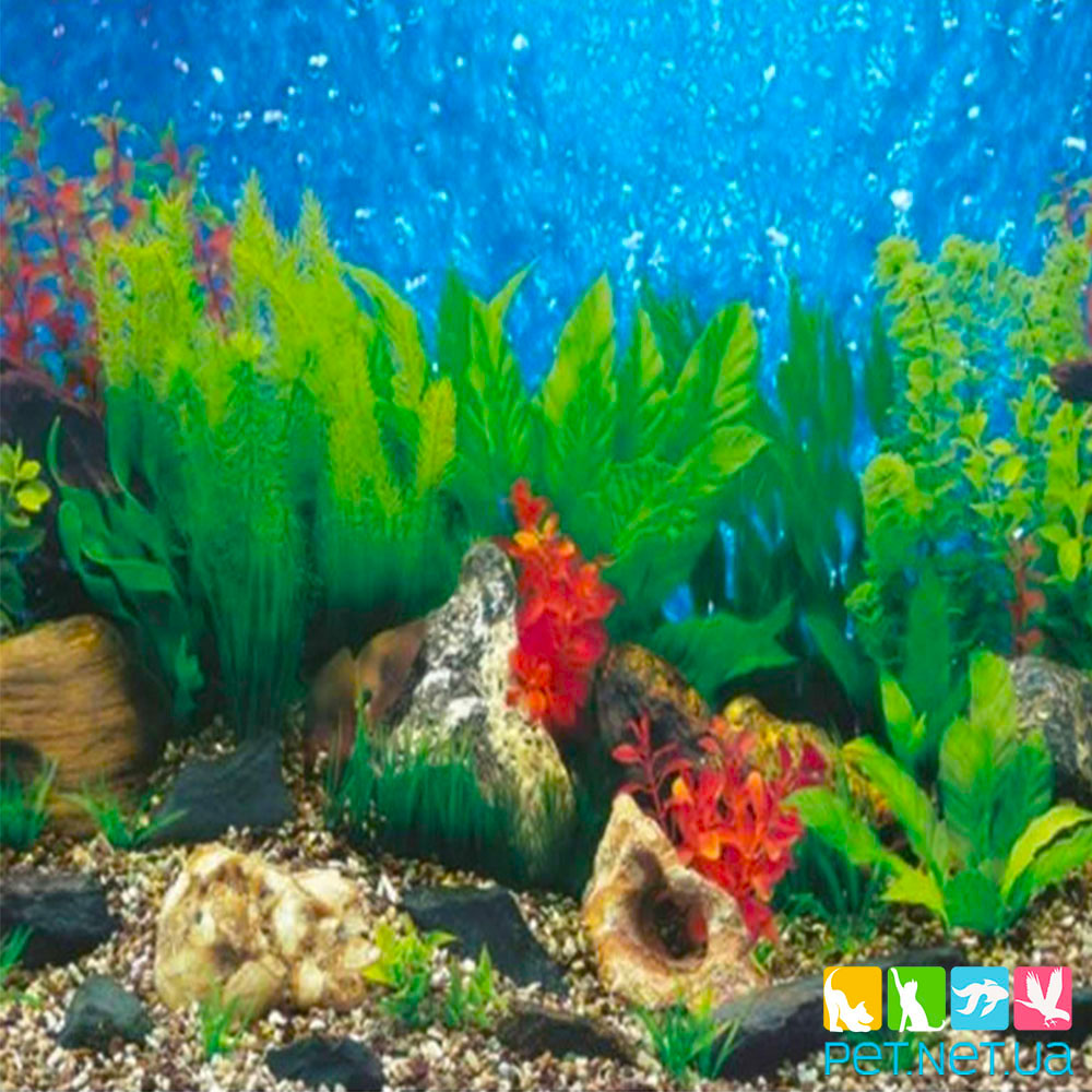 Aquarium background 872