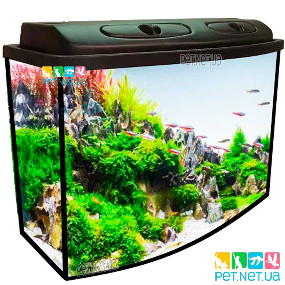 Aquarium black D pet net ua