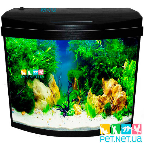Aquarium black 6 Content