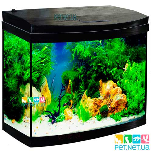Aquarium black New 2 Content