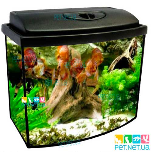 Aquarium oval black Content