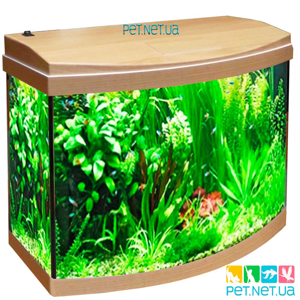Akvarium oval buk 2