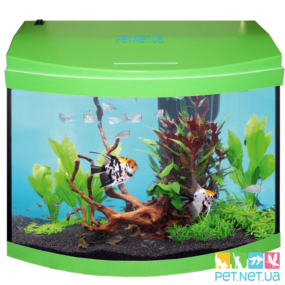 Aquarium oval lime fon