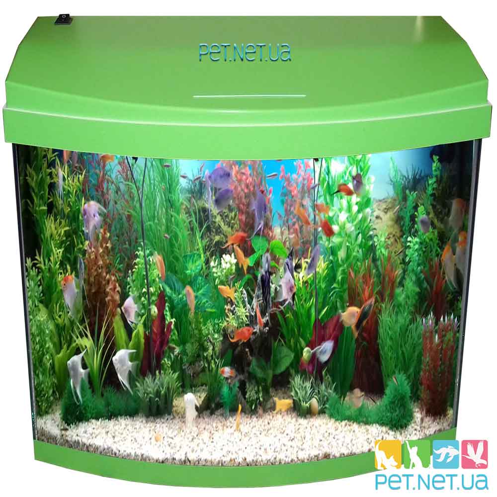 Aquarium oval lime fon1