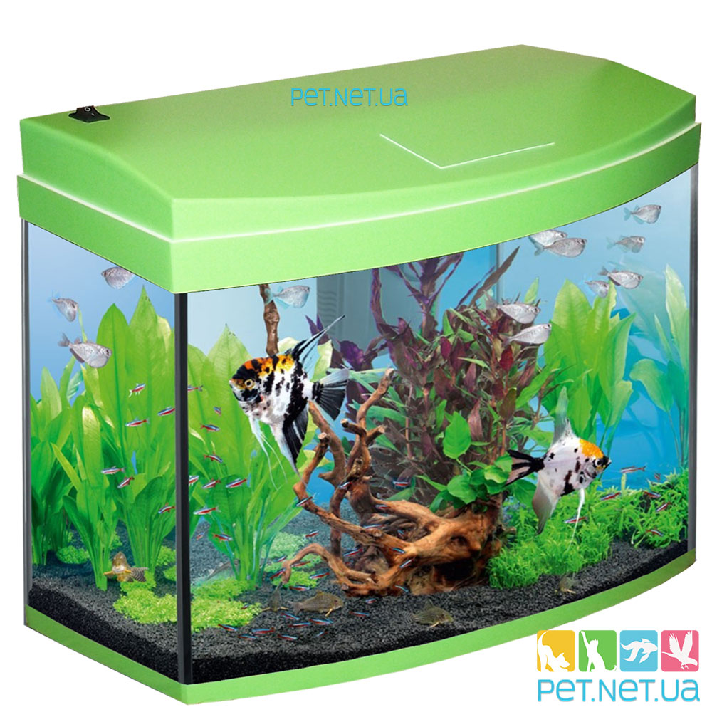 Aquarium oval lime Fon2