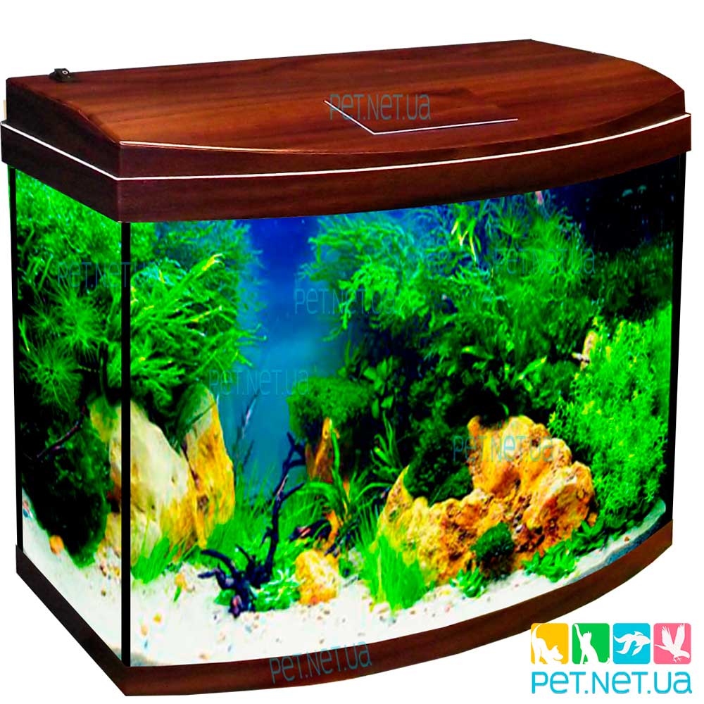 Aquarium oval walnut fon New 2