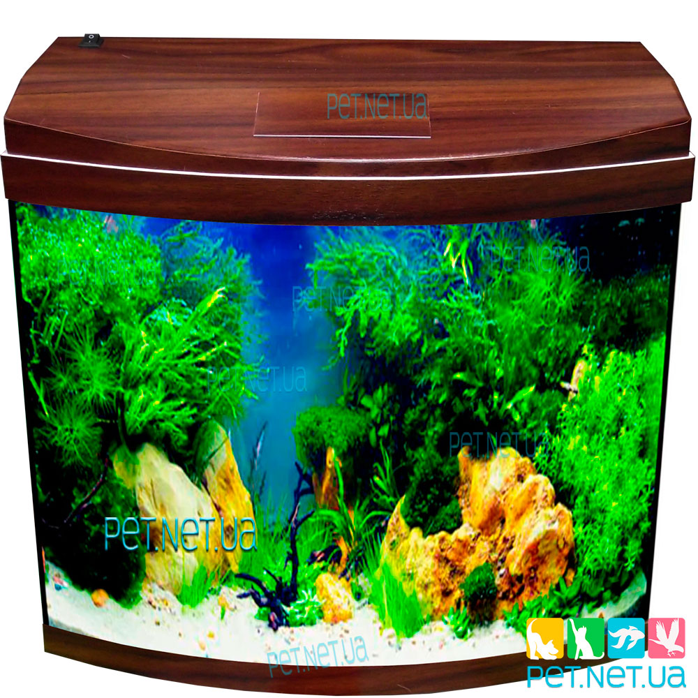 Aquarium oval walnut fon New