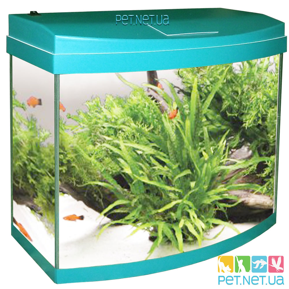 Aquarium Oval Sea wave Fon 2