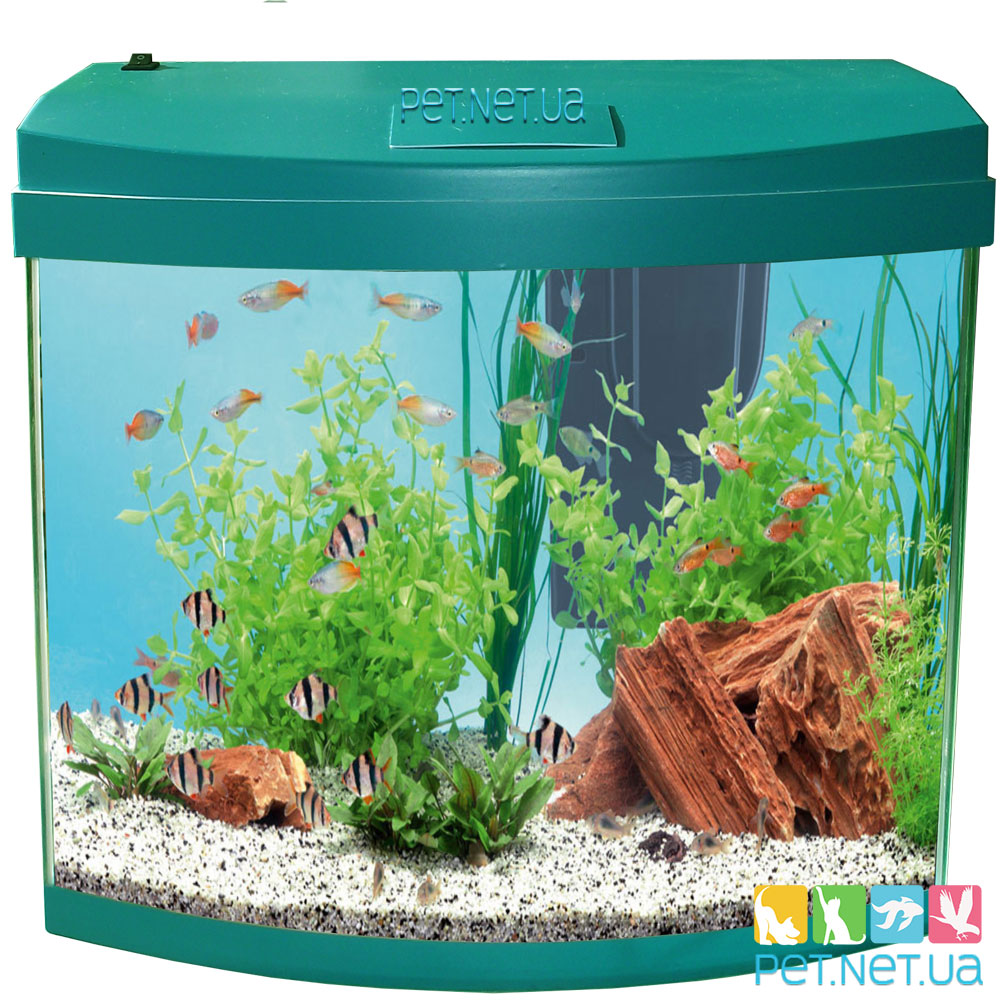 Aquarium Oval Sea wave Fon
