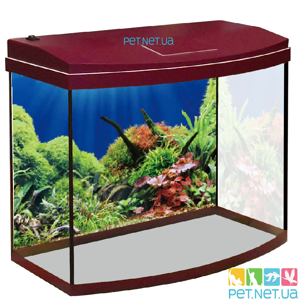 Aquarium Vyshnya 02