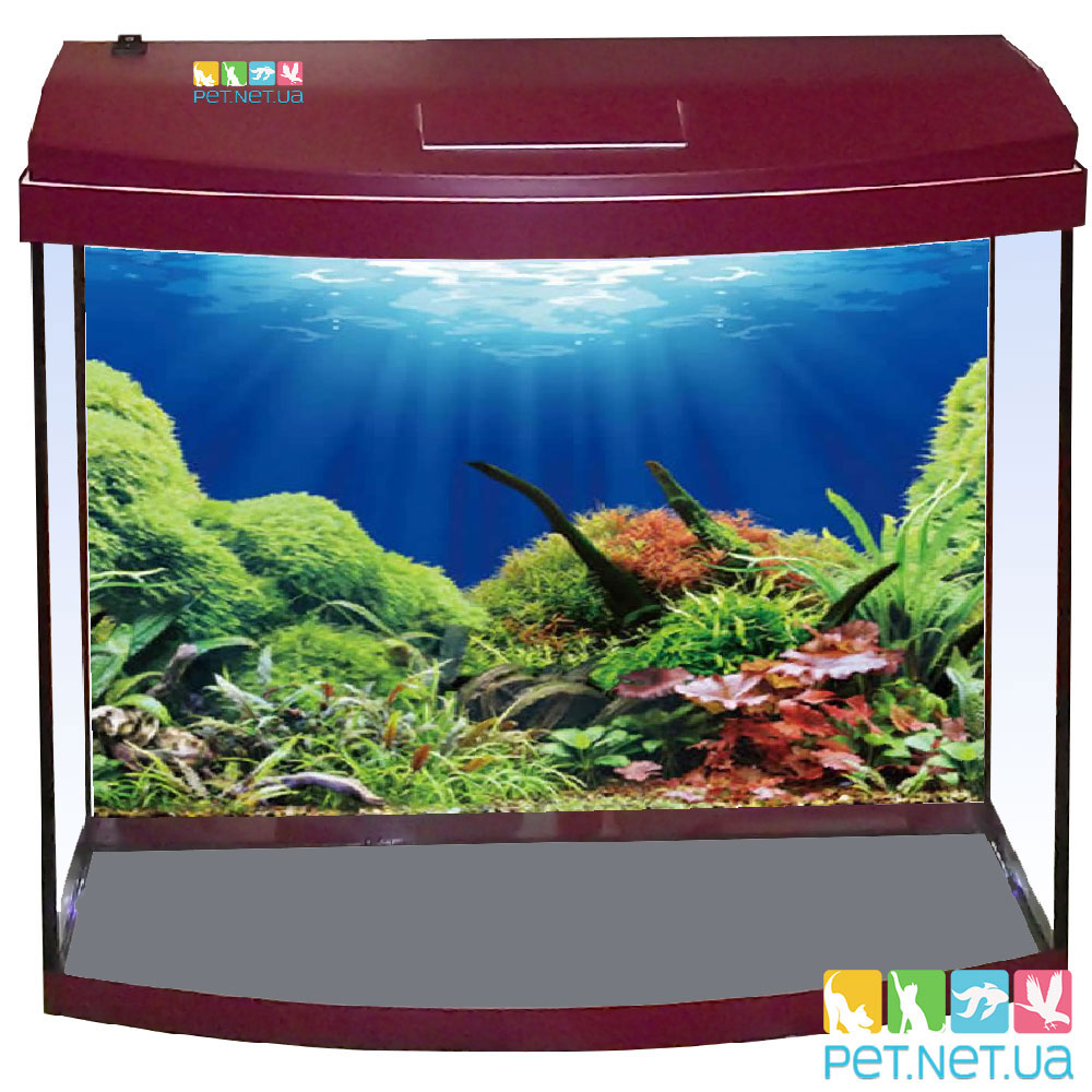 Aquarium Vyshnya 1