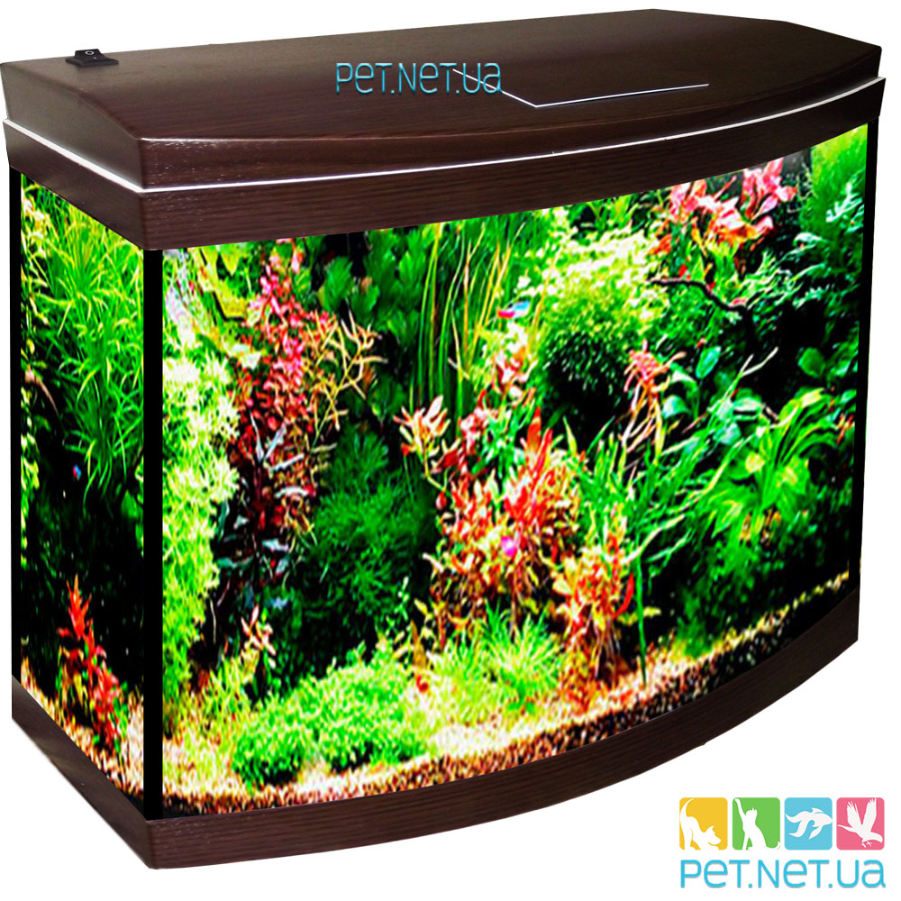 Aquarium wenge 2 Fon