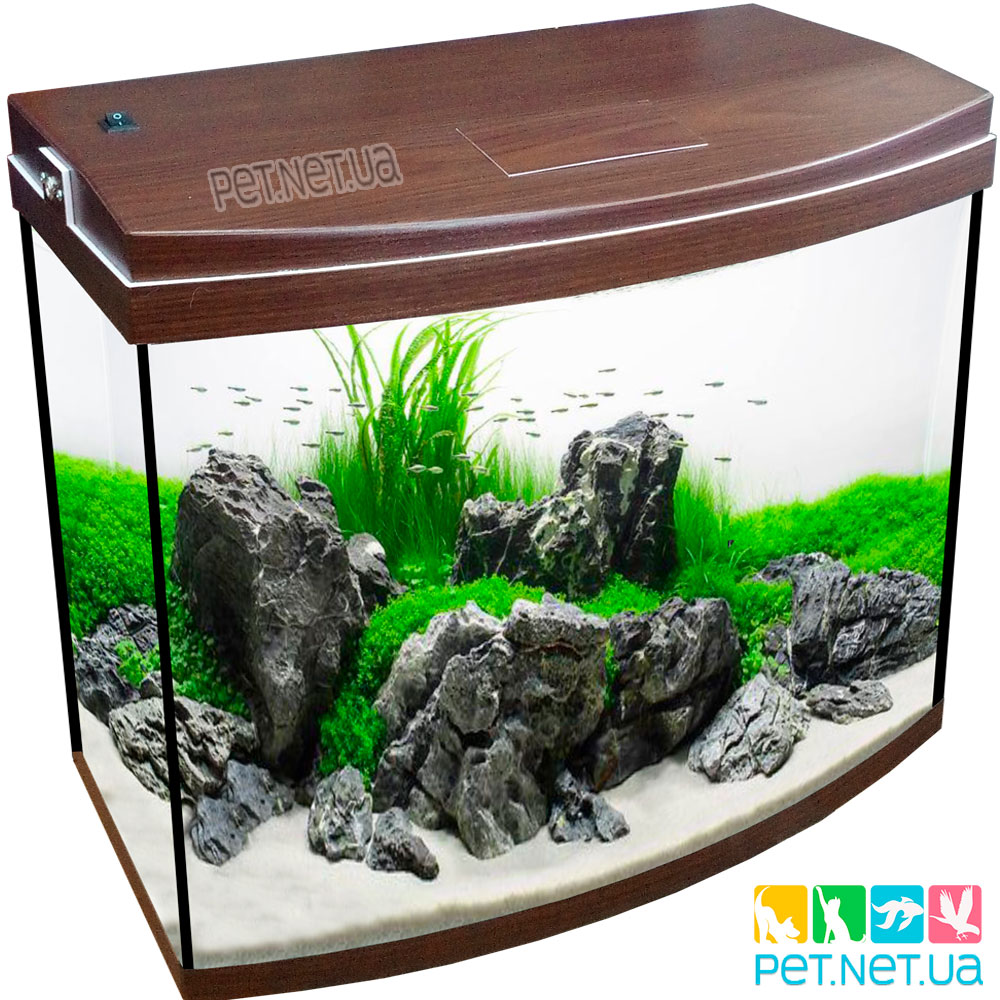 Aquarium wenge Pet