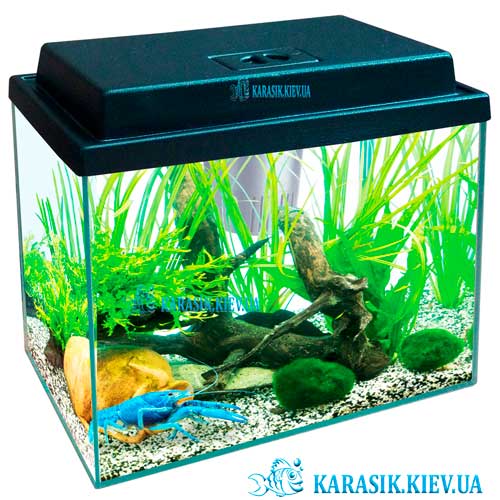 Aquarium Black Nano Karasik D2