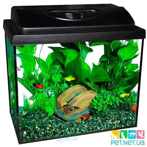 Aquarium black Content