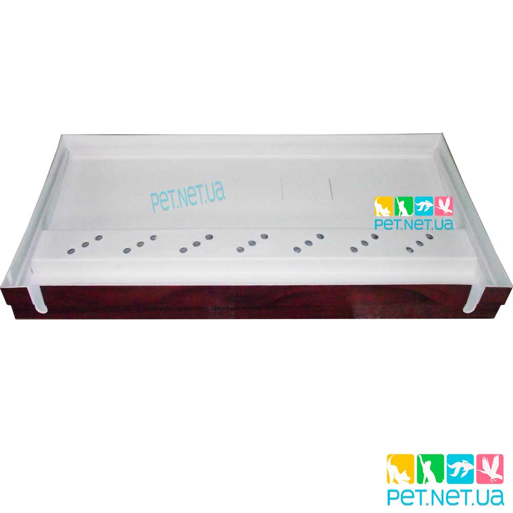 Aquarium of rectangular beech Content 6