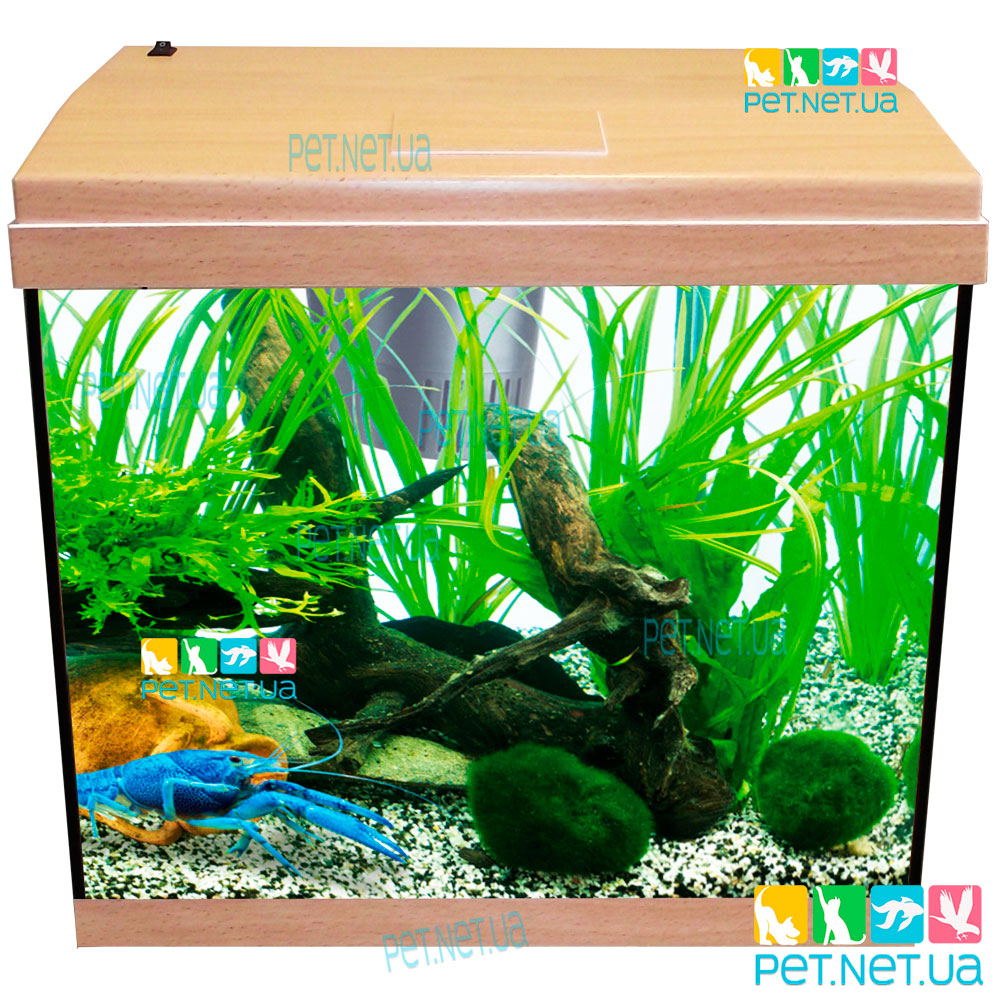 Aquarium of rectangular beech Fon 2