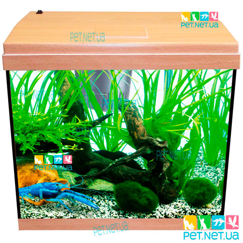 Aquarium of rectangular beech Fon Content 2