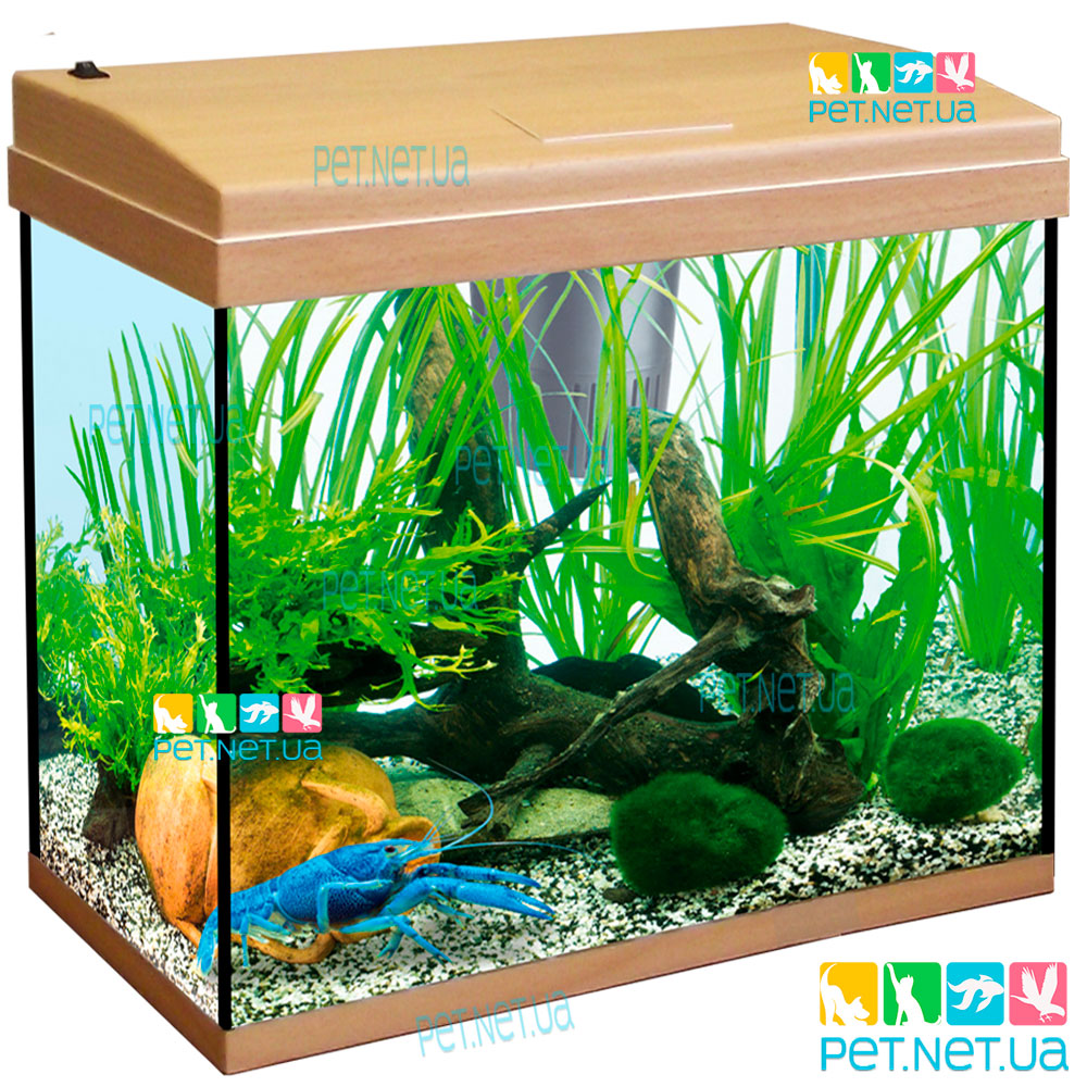 Aquarium of rectangular beech Fon1 