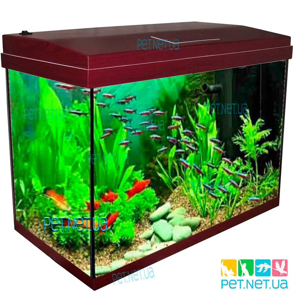 Aquarium of rectangular mahogany Fon 