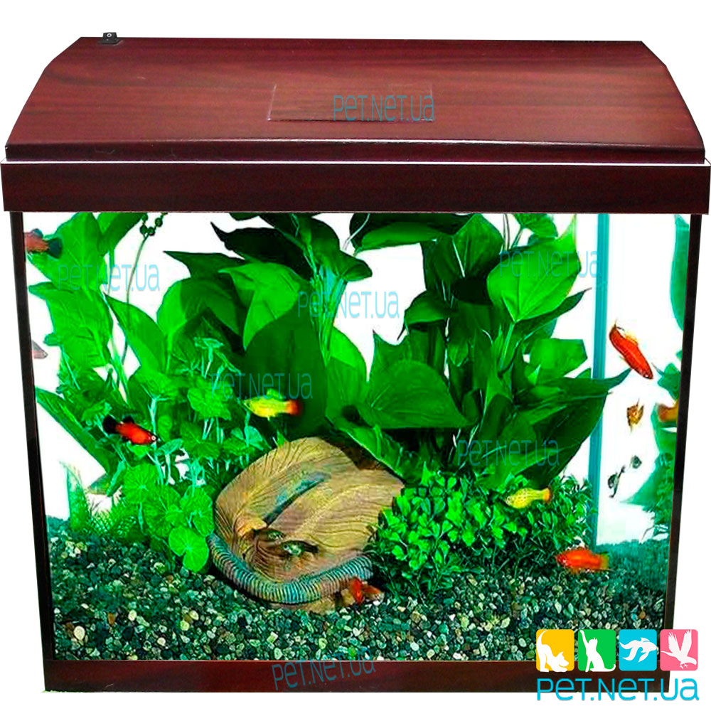 Aquarium of rectangular mahogany fon