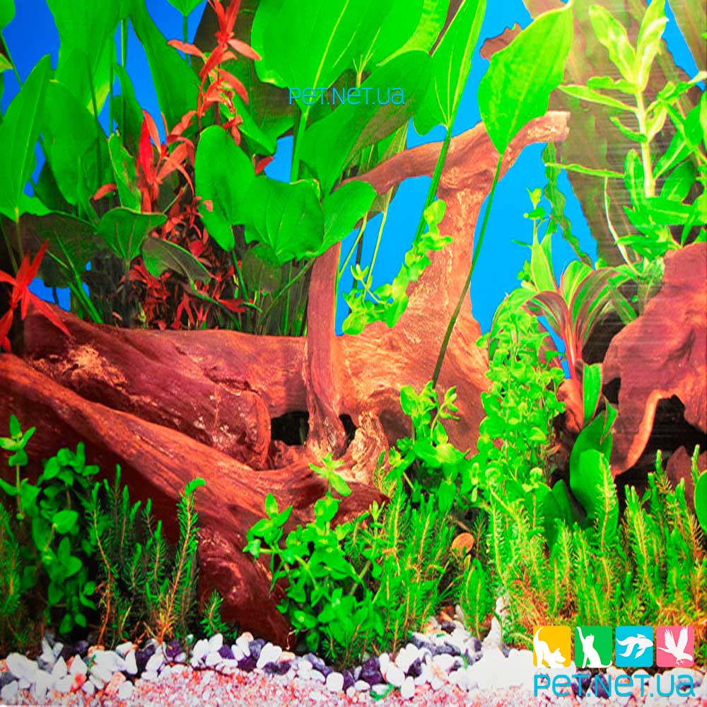 Aquarium background 60 cm 1