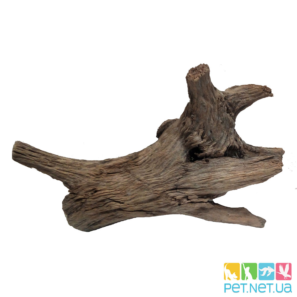 aquarium snag 950 2