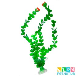 Аквариумные растения, растения для аквариума, Купить, Отзывы, Цена | Pet.net.ua