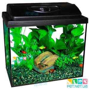 Аквариум с Крышкой 45 л. Прямой 50*30*30