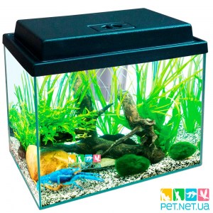 Аквариум с Крышкой LED 16 л. Прямой 30*20*25