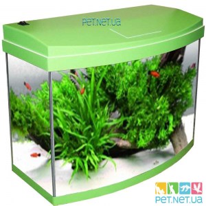 Аквариум с крышкой розового цвета | Pet.net.ua