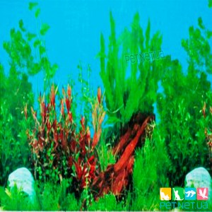 Fon-Akvarium-495-pet-net-ua