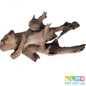 Купить аквариумнцю корягу | Коряги для аквариума | Pet.net.ua