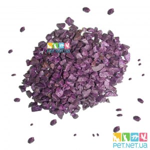 Purple-aquarium-soil_1