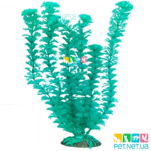 Искусственные Растения 1134 - 40 см | PET.NET.UA