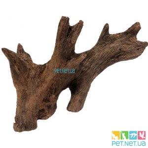 Коряга | Коряги для аквариума | Купить корягу