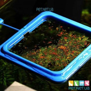 Кормушка для аквариумной рыбки | Квадратная аквариумная кормушка | Pet.net.ua