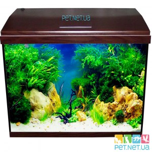 Аквариум с Крышкой 140 л. LED Прямой 80*35*54 (Венге)